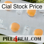 Cial Stock Price 24